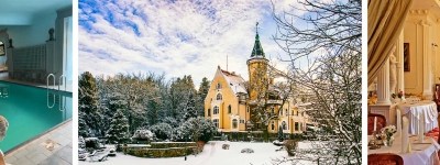 Ny&aring;r p&aring; slott i Polen