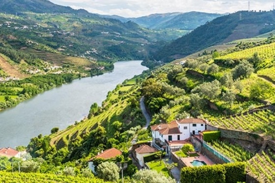 Dourokryssning. Följ med på en storslagen kryssning med MS Infante Don Henrique längs Europas vackraste vindal. Här erbjuds avkoppling, storslagna naturscenerier, härliga matupplevelser och trevligt sällskap. Kryddat med Unescopärlan Porto, landets näst största stad som gett namn åt både landet och det världsberömda vinet. Guimarâes som anses vara en av landets viktigaste historiska städer och i Vila Real väntar vackra Casa de Mateus, en av resans höjdpunkter! Spanska Salamanca är som ett levande museum och givetvis ska vi även stifta bekantskap med områdets härliga viner. En semester som har allt!