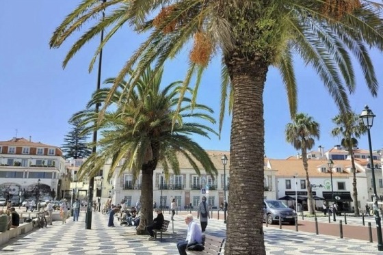 Estoril 17 dagar. Det är något visst med den portugisiska atlantkusten. Halvtimmen utanför den pulserande huvudstaden Lissabon ligger den sköna kustorten Estoril. Här väntar två och en halv vecka på Hotel Londres, ett 4-stjärnigt hotell där personalen gör allt för att vi ska trivas. Regionen lockar med intressanta utflyktsmål, trevlig shopping, ett spännande kök och goda viner. Dessutom ligger Europas största casino bara några minuters promenad från hotellet. Mellan grannorten Cascais och Estoril löper den vackra och flanörvänliga strandpromenaden, ett populärt tillhåll för både bofasta och besökare. Regionen bjuder på ett behagligt subtropiskt och milt atlantklimat - som gjort för härligt avkopplande dagar!