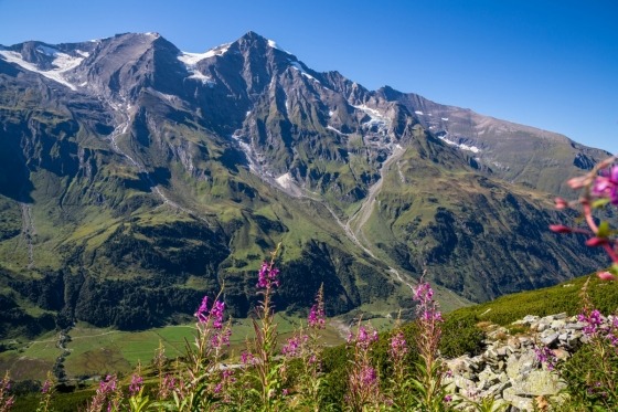 Grossglockner. Varje årstid har sin tjusning. På våren när smältvattnet forsar fram i floder och bäckar och bergen står klädda i vinterskrud. Då det knoppas och sommaren slår ut i full blom med färgsprakande alprosor och betande kor på ängarna. Och så hösten med dess fantastiska färgskiftningar. Året runt spelar bergmassivet upp hisnande naturscenerier. På slingrande vägar färdas vi in i alpäventyret!