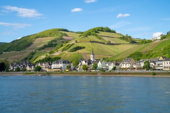 Rhen & Mosel. Rüdesheim är en trevlig vinby som bjuder på oförfalskad livsglädje i vinets tecken. Hit kommer besökare från hela världen för att roa sig på vinstugorna längs den klassiska nöjesgatan Drosselgasse. Inom bekvämt räckhåll har vi områdets stora sevärdheter. I närheten slingrar sig Rhen genom ett av Europas vackraste flodlandskap. Vinodlingarna klättrar uppför branta sluttningar och ovanför de rofyllda små städerna tronar romantiska riddarborgar. Den kortare och smalare systerfloden Mosel flyter stillsamt förbi medeltida korsvirkesbyar och vinodlingsklädda berg.